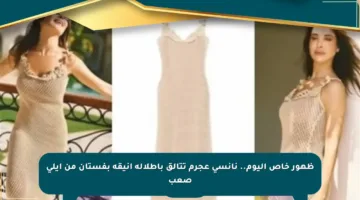 ظهور خاص اليوم.. نانسي عجرم تتألق بإطلالة أنيقة بفستان من إيلي صعب